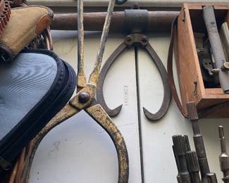 Antique Ice Tongs of unusual size