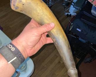 antique powder horn