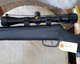 Gamo pellet gun