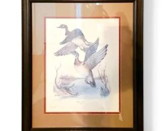 Wood Duck Limited Edition Framed Print Signed Tony Biagi