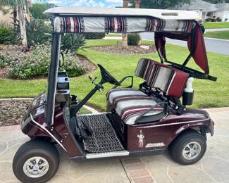 Redskin Electric Cart. Overachiever.
