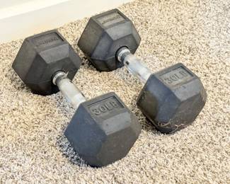 78 Lifeline30lbsDumbbells