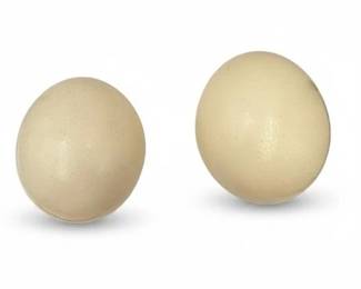 Ostrich Eggs, Pair