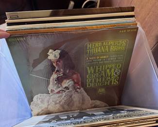 Vinyl Records