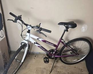 Purple Titan Wildcat Bicycle with Protective Tarp