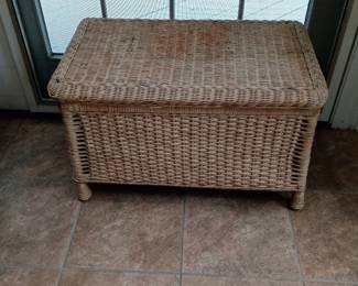 Wicker Trunk