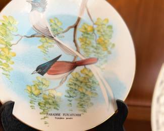 bird palte