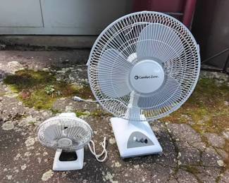 Two Fans, One Bigger One Smaller