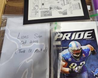Lions posters