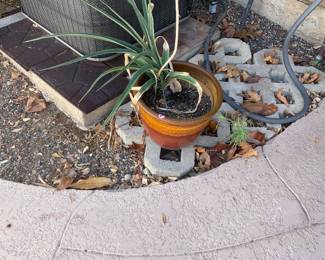 Plant