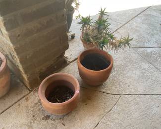 Terra cotta pots