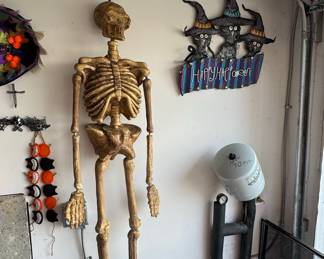 Life-Size Posable Halloween Skeleton Prop