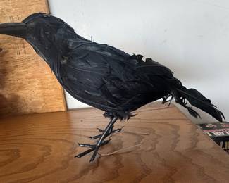 Realistic Feathered Raven Prop