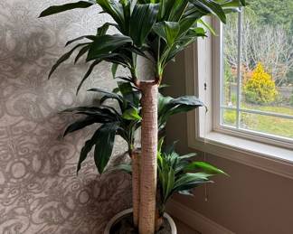 Artificial Dracaena Fragrans 'Corn Plant' in White Ceramic-Style Planter