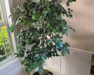 Artificial Ficus Tree in White Ceramic Planter