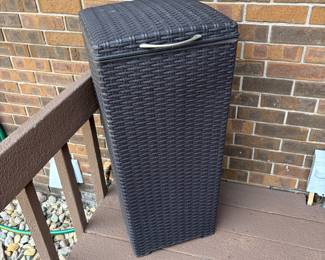 Rattan waist basket