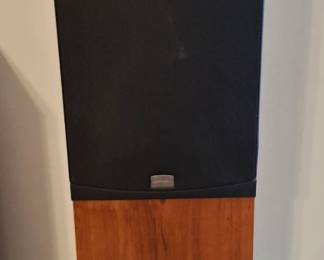 Another Pair of Phase Speakers! Great Condition!