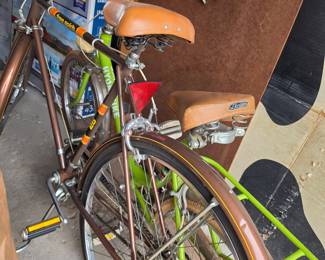 Free Spirit 10-Speed Bicycle