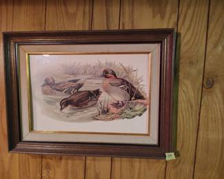 VTG duck art print, framed