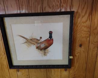 VTG ringed neck pheasant framed print