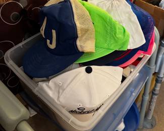 Assorted Hats