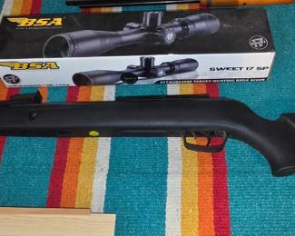 Whisper Gamo Air Pellet Gun with Scope