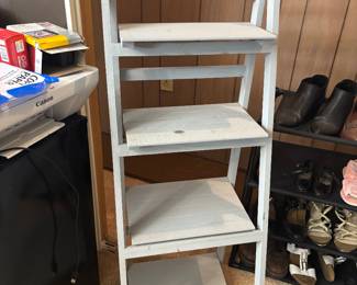 Bathroom ladder
