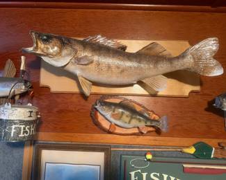 taxidermy fish