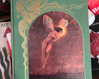 The Enchanted World Book Series