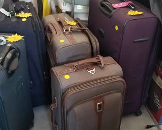 Large pieces of luggage