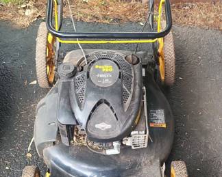Poulan Pro EX Series cc Lawn Mower