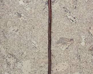 Authentic Irish Blackthorn Shillelagh Walking Stick