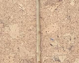HandCarved Rabbit Handle Wooden Walking Stick