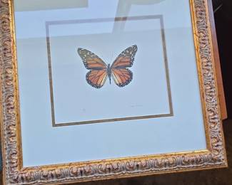 Lenore Halstead Original Watercolor Butterfly Painting