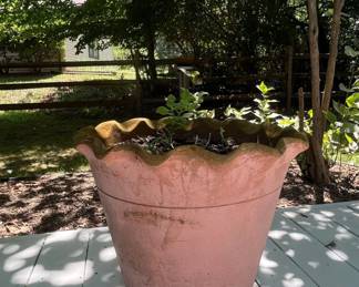 Large ScallopedRim Terracotta Garden Planter