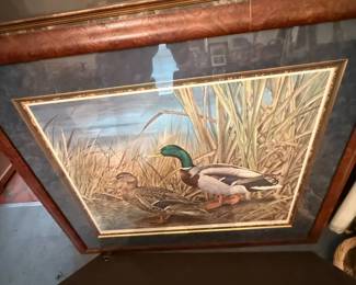 Mallard Duck Print