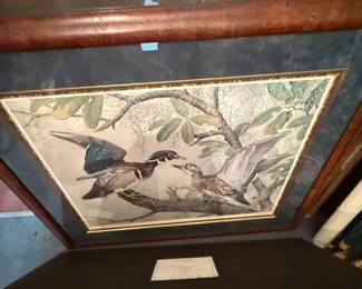 Wood Duck Print