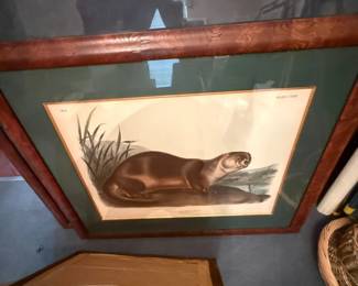 Otter Plate Print