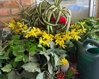 Faux Plants Assortment