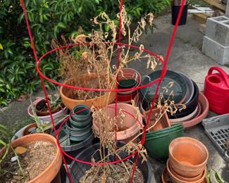 Plant Pots Assortment