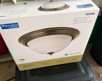 Progress Lighting Flushmount