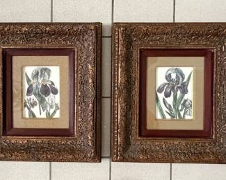 Pair framed Iris art