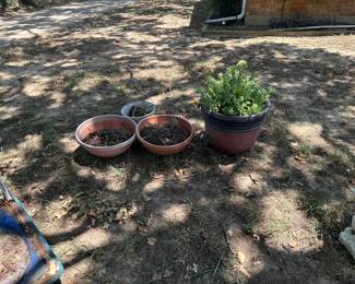 Flower Pots