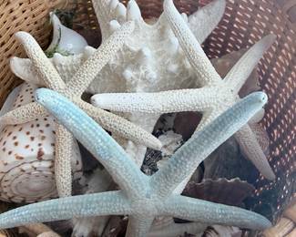 Shells