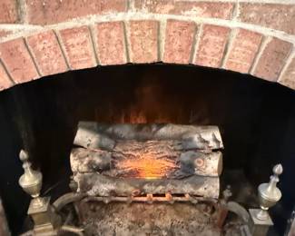 Electric crackling fireplace.  Brass dogs will sell seperately.