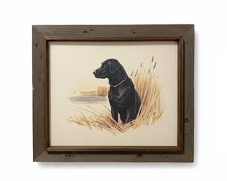 Black Labrador Retriever Sporting Art Print by Elliott in Rustic Barnwood Frame