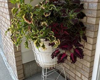 Vintage White Painted Wire Plant Stand with Bucket Planter