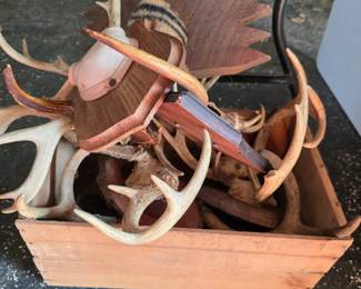 Antlers
