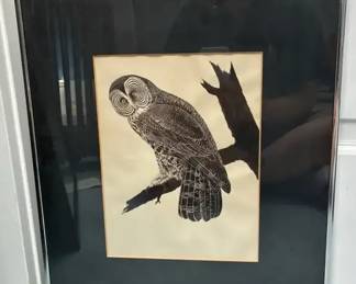 Barred Owl Painting