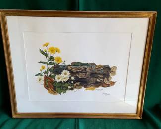 Daisy Mum botanical lithograph by artist Maryrose Wampler